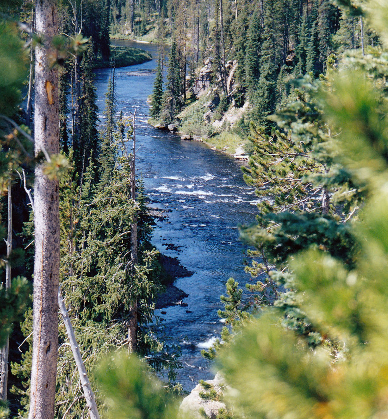Yellowstone fiume