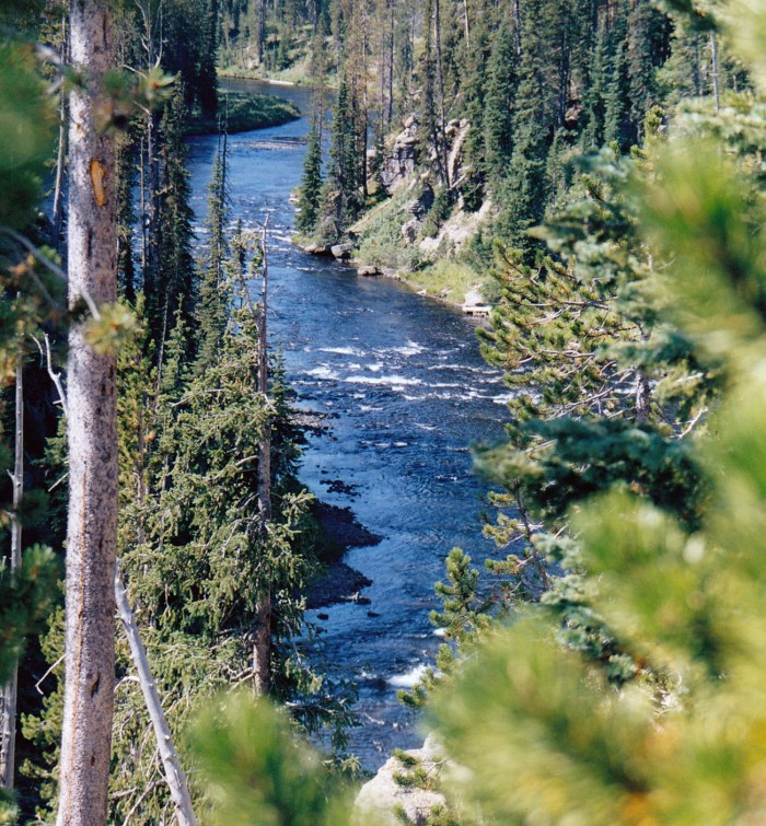 Yellowstone fiume
